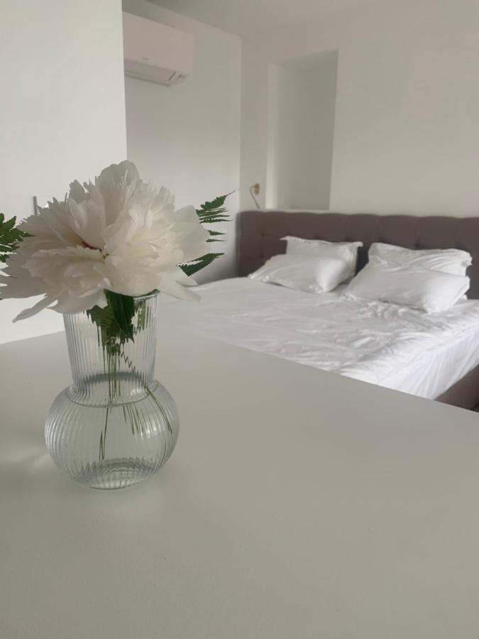 La Rose Du Cedre Bed & Breakfast Gray Exterior photo